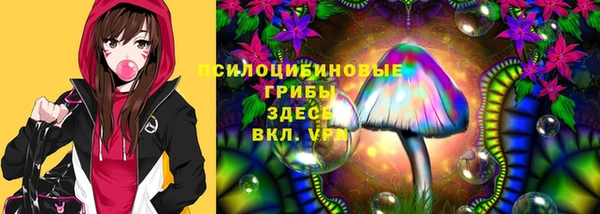 шишки Верхнеуральск