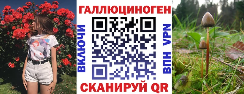 Псилоцибиновые грибы прущие грибы  Купить закладки  Пионерский 